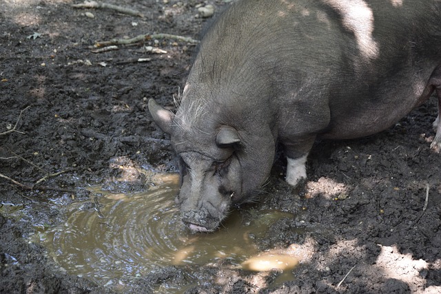 往超越表面 往超越表面