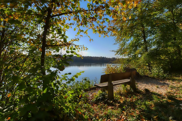 情况下有效 情况下有效